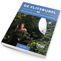 De Flitsbijbel