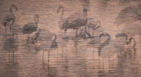 Creatieve Technieken