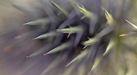 Aarde - Benut ik de speelruimte tussen herkenbaar en (bijna) abstract?