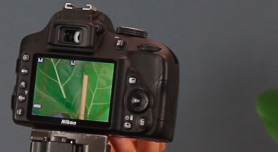 Liveview (Nikon)