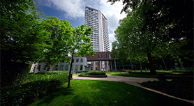 Landschapsmaskers