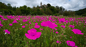 Gebruik bereikmaskers in Lightroom Classic