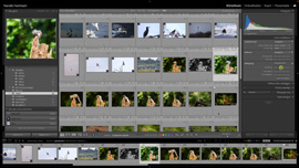 Histogram en snel ontwikkelen
