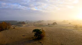 Natuurfotografie in Nederland