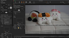 Tethered fotograferen