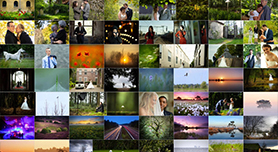Photoshop Elements Organizer
