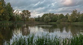 Luminosity Masks in Lightroom