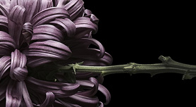 Word Lightroom expert