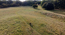 Locatie 5: de verborgen heuvel
